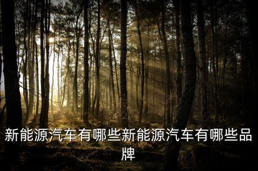 新能源汽車有哪些新能源汽車有哪些品牌