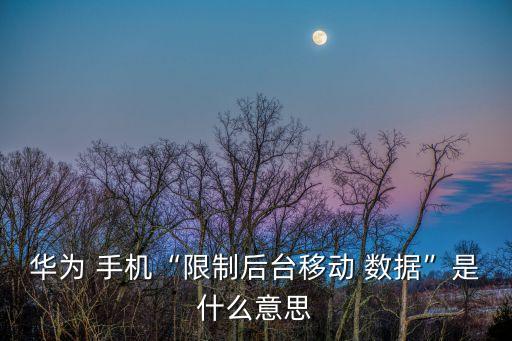 華為 手機“限制后臺移動 數(shù)據(jù)”是什么意思