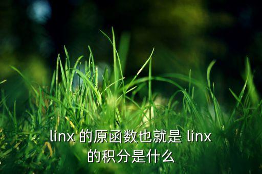 linx 的原函數(shù)也就是 linx的積分是什么