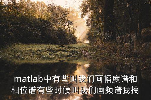 matlab中有些叫我們畫幅度譜和相位譜有些時候叫我們畫頻譜我搞