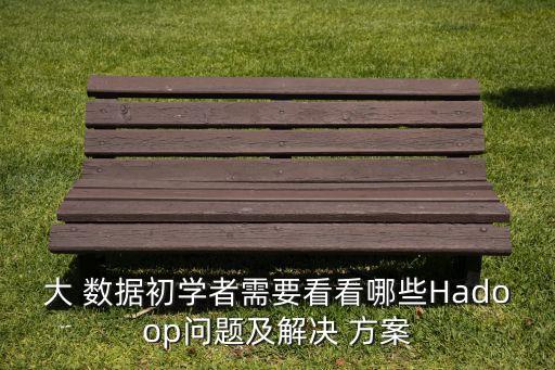 大 數(shù)據(jù)初學(xué)者需要看看哪些Hadoop問題及解決 方案