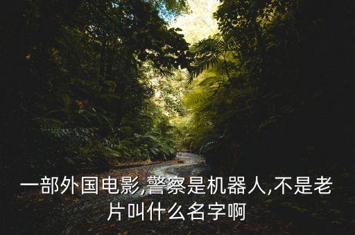 一部外國電影,警察是機器人,不是老片叫什么名字啊