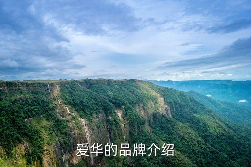 愛華，葉落長安中愛華的演員是誰啊
