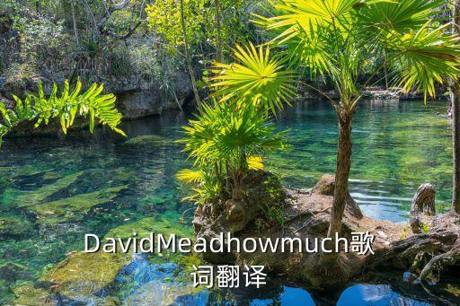 DavidMeadhowmuch歌詞翻譯
