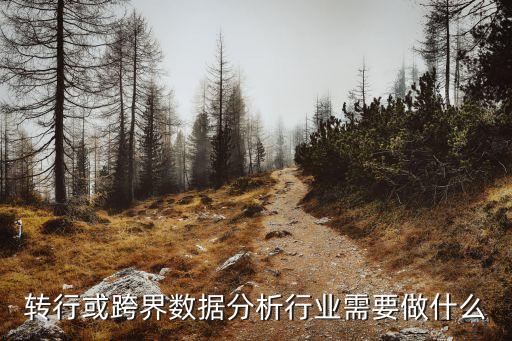 數(shù)據(jù) 分析域,數(shù)據(jù)分析能力體現(xiàn)在哪些方面?