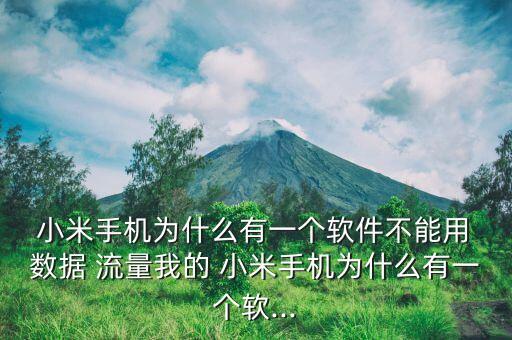  小米手機(jī)為什么有一個(gè)軟件不能用 數(shù)據(jù) 流量我的 小米手機(jī)為什么有一個(gè)軟...