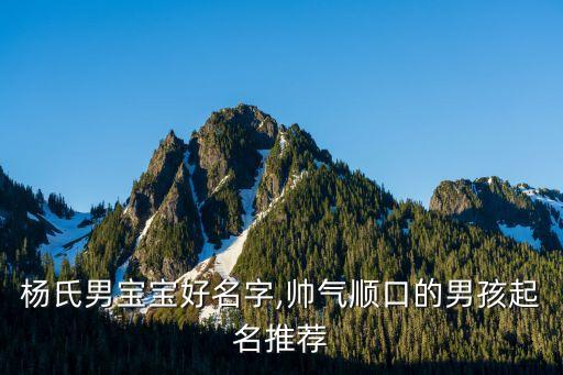 帥順自動化設備,《少帥》喜順怎么死的?