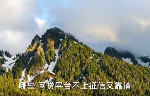 沒有大數(shù)據(jù)的網(wǎng)貸,有沒有不看大數(shù)據(jù)的網(wǎng)貸
