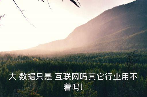 大 數(shù)據(jù)只是 互聯(lián)網(wǎng)嗎其它行業(yè)用不著嗎l