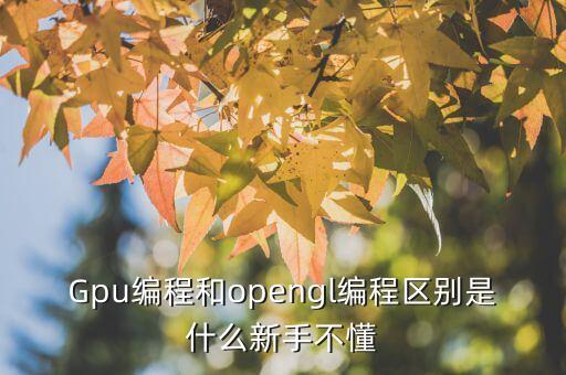 Gpu編程和opengl編程區(qū)別是什么新手不懂