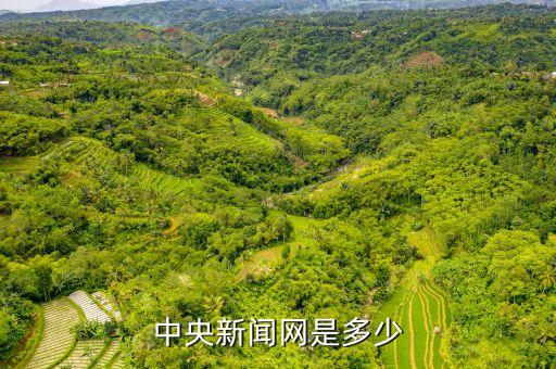 中央媒體，中央新聞網是多少