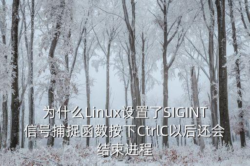 sigint，為什么Linux設(shè)置了SIGINT信號(hào)捕捉函數(shù)按下CtrlC以后還會(huì)結(jié)束進(jìn)程