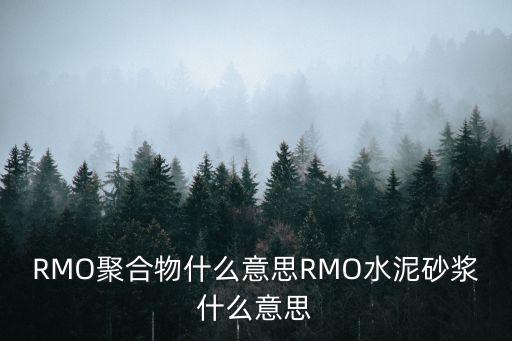 RMO聚合物什么意思RMO水泥砂漿什么意思