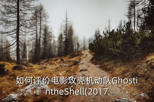 如何評(píng)價(jià)電影攻殼機(jī)動(dòng)隊(duì)GhostintheShell(2017