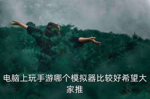 電子模擬器，玩電腦游戲用什么模擬器好