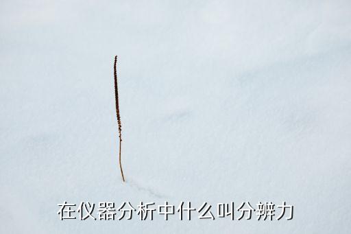 在儀器分析中什么叫分辨力
