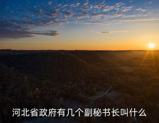 河北省政府有幾個(gè)副秘書長(zhǎng)叫什么