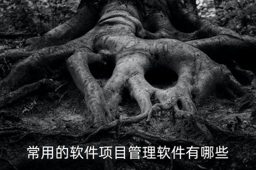 項目管理類軟件，項目管理軟件哪個最好