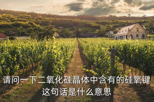 硅氧鍵，sio鍵是什么