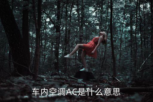 車內(nèi)空調(diào)AC是什么意思