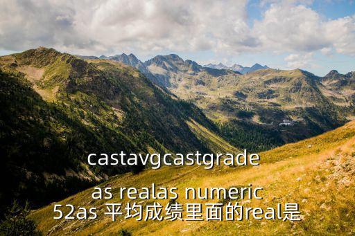 real數(shù)據(jù)類型，integer和real的意思