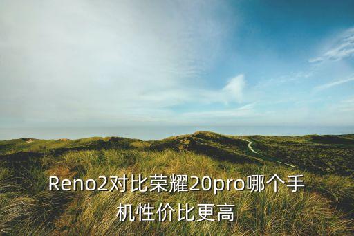 Reno2對(duì)比榮耀20pro哪個(gè)手機(jī)性價(jià)比更高