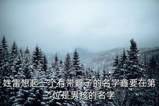 雷鑫，雷鑫這個(gè)名字怎么樣