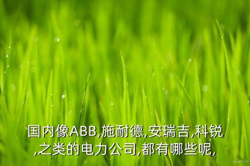 國(guó)內(nèi)像ABB,施耐德,安瑞吉,科銳,之類的電力公司,都有哪些呢,