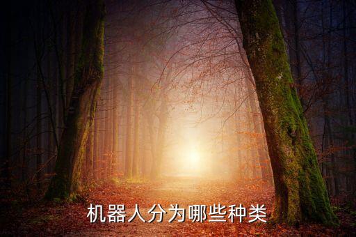 機(jī)器人分為哪些種類