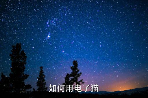 如何用電子貓
