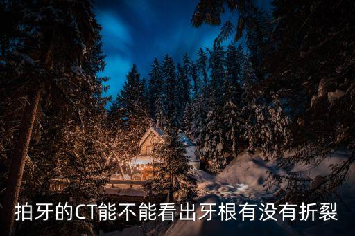 牙ct，拍牙的CT能不能看出牙根有沒有折裂
