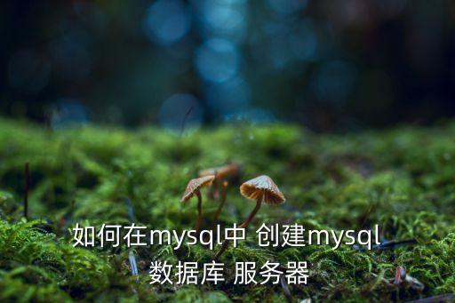 服務(wù)器怎么創(chuàng)建數(shù)據(jù)庫,顯示服務(wù)器中已經(jīng)創(chuàng)建的數(shù)據(jù)庫的命令