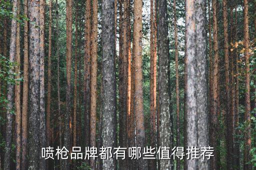 噴槍品牌都有哪些值得推薦