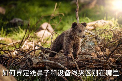 如何界定線鼻子和設(shè)備線夾區(qū)別在哪里