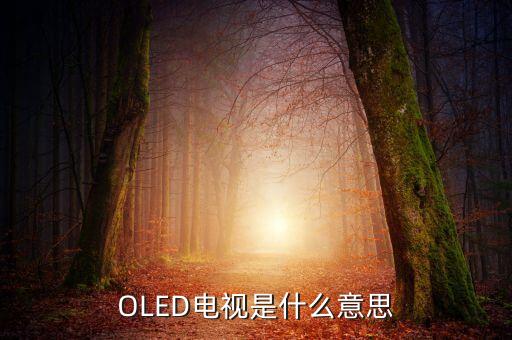 oled電視，OLED電視是什么意思