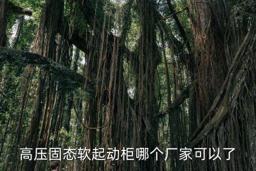 高壓固態(tài)軟起動(dòng)柜哪個(gè)廠家可以了