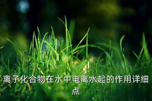 電離作用，離子化合物在水中電離水起的作用詳細(xì)點(diǎn)