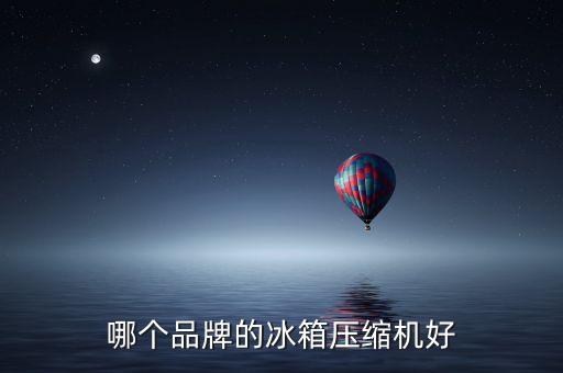 冰箱壓縮機(jī)品牌，哪個品牌的冰箱壓縮機(jī)好