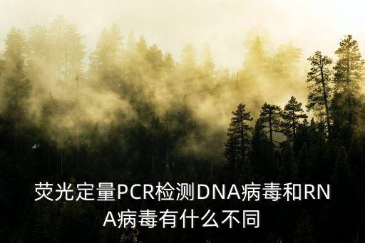 熒光定量PCR檢測DNA病毒和RNA病毒有什么不同
