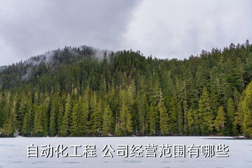  自動(dòng)化工程 公司經(jīng)營(yíng)范圍有哪些