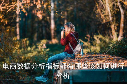 電商數(shù)據(jù)看什么影響力,電商數(shù)據(jù)來源渠道多樣化需要商業(yè)敏感