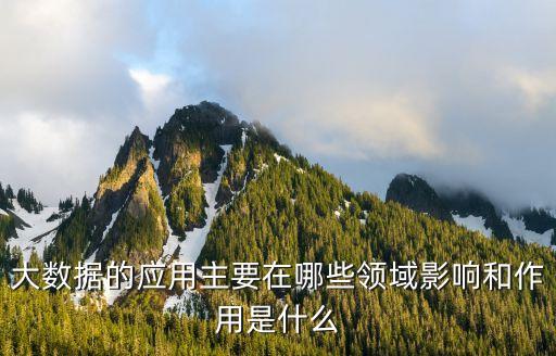 大數(shù)據(jù)的應(yīng)用主要在哪些領(lǐng)域影響和作用是什么