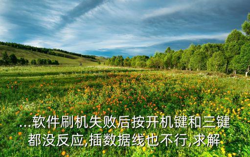 ...軟件刷機失敗后按開機鍵和三鍵都沒反應(yīng),插數(shù)據(jù)線也不行,求解