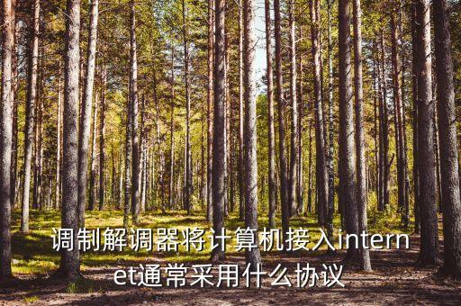 調(diào)制解調(diào)器將計(jì)算機(jī)接入internet通常采用什么協(xié)議