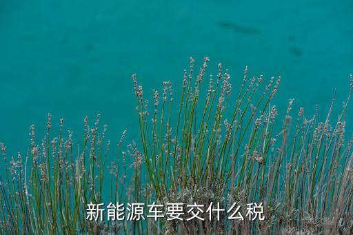 新能源車要交什么稅