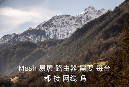 無線mesh，mesh表示什么意思