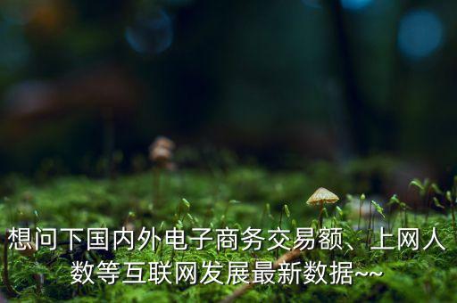 想問(wèn)下國(guó)內(nèi)外電子商務(wù)交易額、上網(wǎng)人數(shù)等互聯(lián)網(wǎng)發(fā)展最新數(shù)據(jù)~~