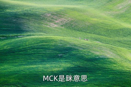 mck，有個女裝牌子好像是什么mck全稱是什么