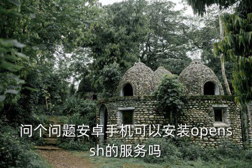 問個問題安卓手機可以安裝openssh的服務(wù)嗎
