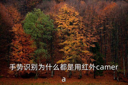 手勢識別為什么都是用紅外camera